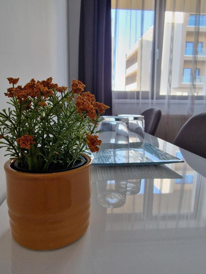 Vic Apartament Drobeta Turnu Severin Exterior photo